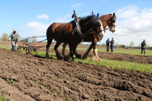 Ploughing horsepower3