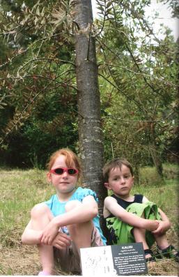 Eastwoodhill kauri kids 001