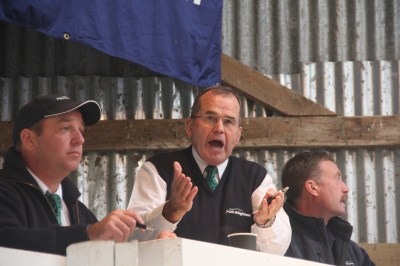 and the auction begins :)