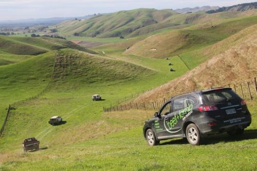 FOY field day Horonui b+lnz