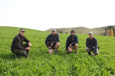 Photo by Kate Taylor, Fairfax NZ 